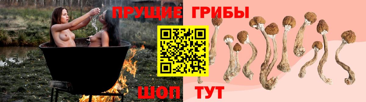 Воткинск  Псилоцибиновые грибы мицелий  дарнет шоп  Вход с VPN  Псилоцибиновые грибы мицелий 